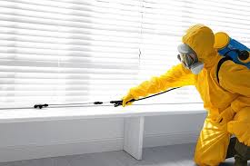 Emergency Pest Control Services in Orting, WA